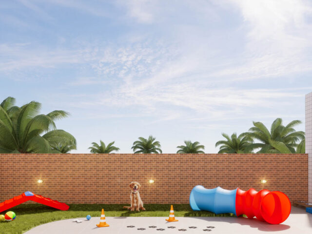 PET PLAY_OK PET PLAY_OK